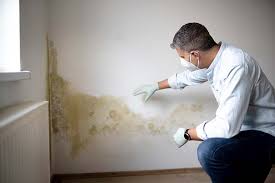 Best Mold Documentation for Insurance Claims in Chillicothe, MO